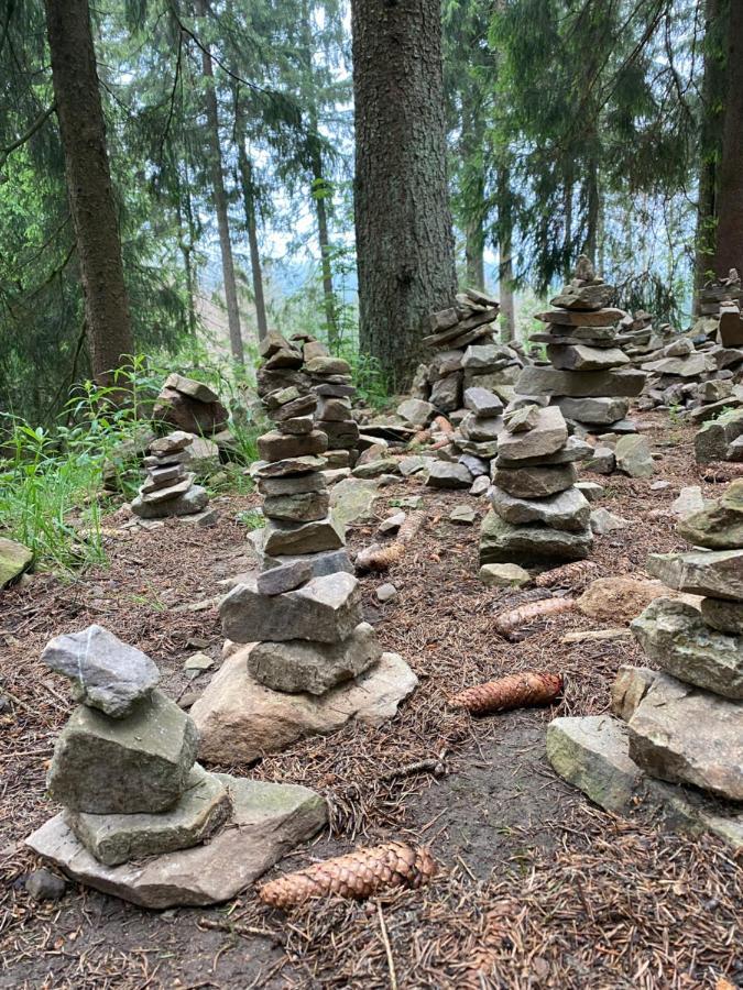 Komfort Ferienwohnung Wunder Goslar Bagian luar foto