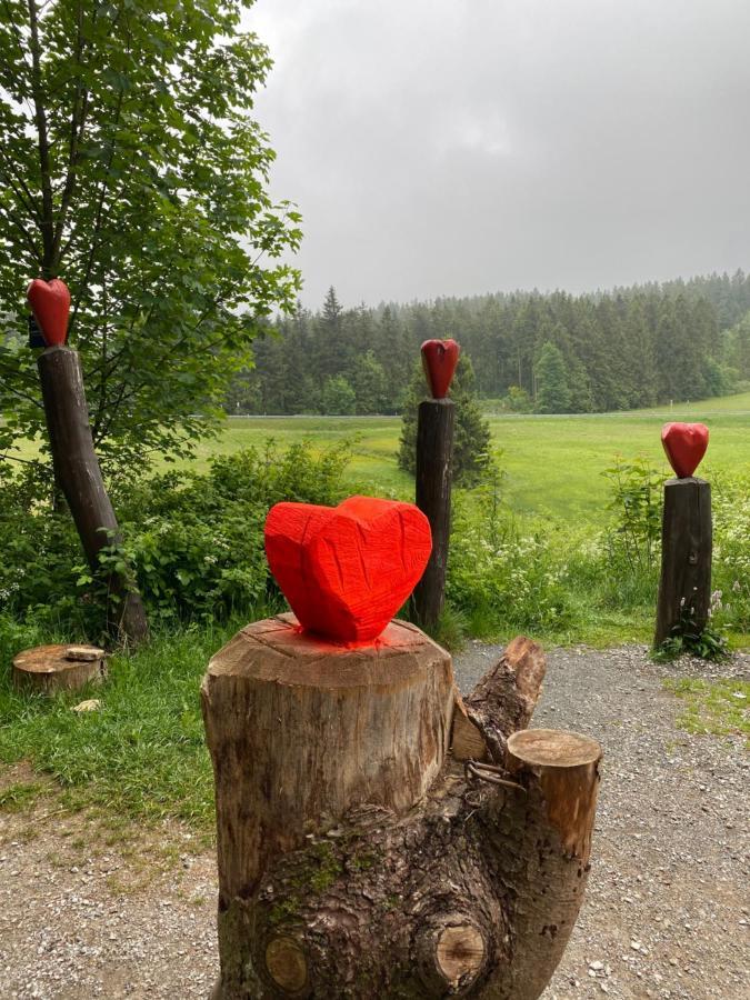 Komfort Ferienwohnung Wunder Goslar Bagian luar foto